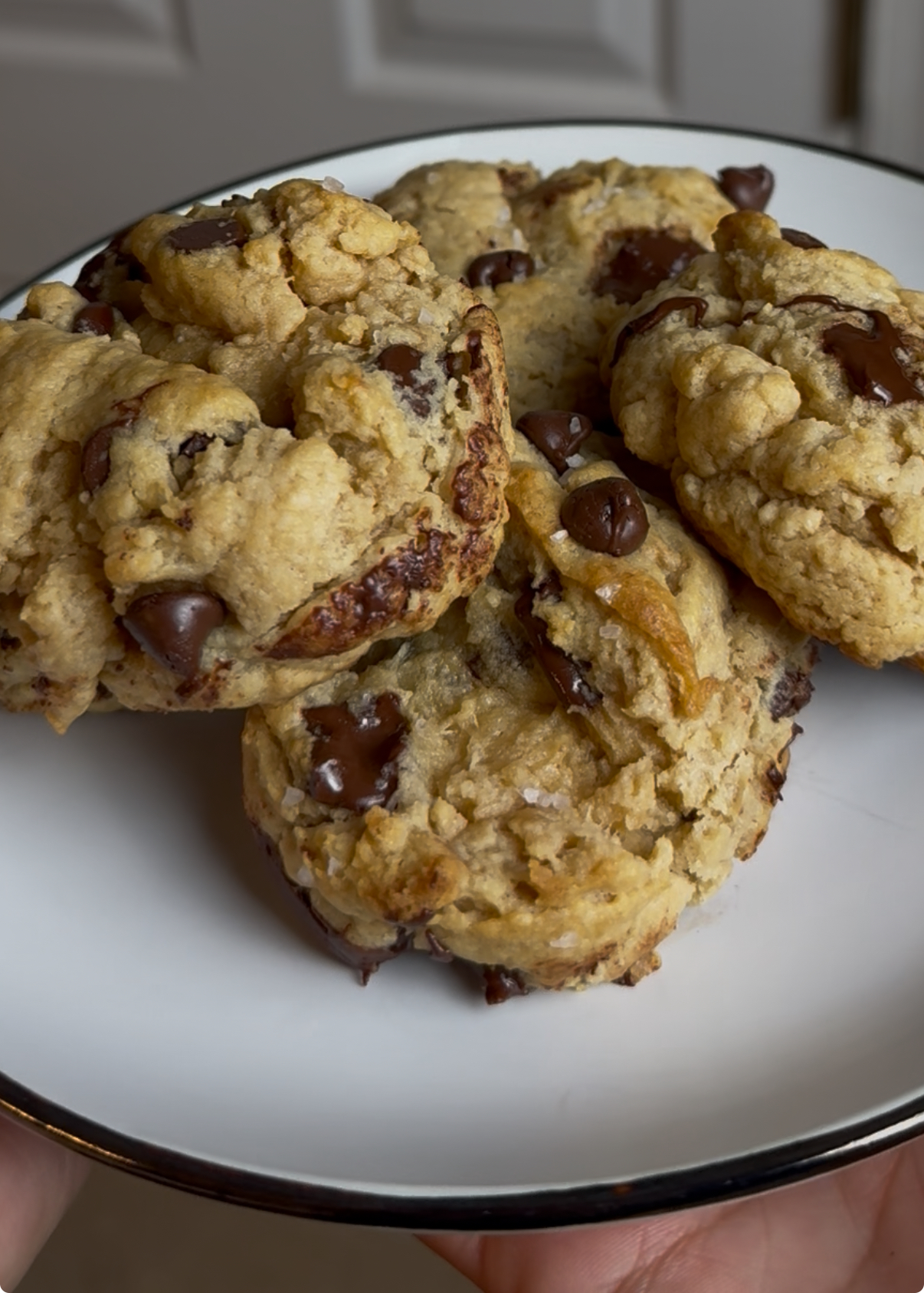 Fresh Baked No Sugar Added Chocolate Chip Cookies